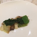 クイントカント - 