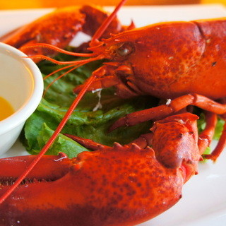 ディ グロット タマザワ_1