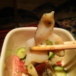 野口太郎 - つぶ貝 リフト