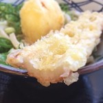 Marugame Seimen - 先っちょ♡©風太くん