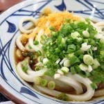 MARUGAME UDON - ぶっかけうどん（アップ）