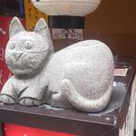 Sobadokoro Totoya - 石のように動かない看板猫のポンタ