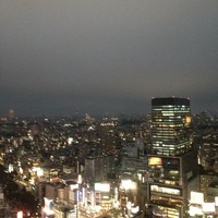 タワーズバー ベロビスト - 