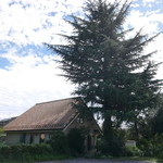 トラットリア ナトゥーラ - 