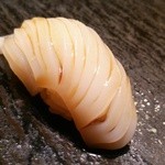まんてん鮨 - アオリ烏賊