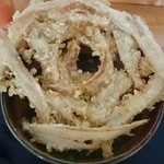 大地のうどん - ごぼう天うどん＠480円