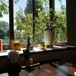 モンシェリー - 出窓の風景＠2015/9