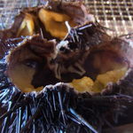 海鮮処 かふか - ムラサキ雲丹の殻つき焼き雲丹