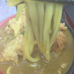 極楽うどん TKU - 湯気で一瞬にして真っ白に（笑）しかし鶏天すげえデカいです(*^o^*)