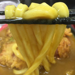 極楽うどん TKU - ムニュムニュの弾力のある食感の食べ応え十分なうどん！！太い！！d(^_^o)