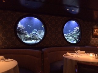 Lobstar Bar and Grill - 