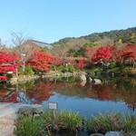 Okazaki Saryou Mameda - 円山公園の紅葉