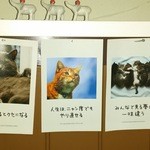 こねぎ屋食堂 - 猫の格言。