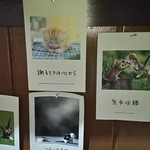 こねぎ屋食堂 - 猫の格言。