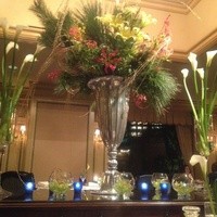 イル・テアトロ - イル・テアトロ