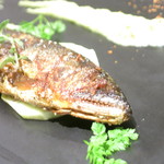 リストランテ サクラ - シェフの父親が獲る奥多摩産天然鮎　水茄子　オクラと胡瓜のソース　トマトのパウダー