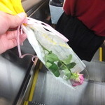 FLOWER BAR GARDENA - （前回）半泣きでエスカレーター