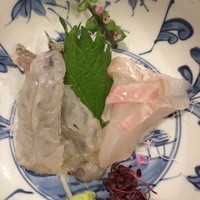 うぶか - 巻きのお刺身とスズキの刺身