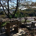 森のレストラン ラッキーガーデン - 羊ｴﾘｱ席