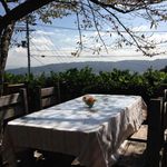 森のレストラン ラッキーガーデン - 桜ｴﾘｱ席