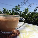 森のレストラン ラッキーガーデン - 新茶の紅茶(ﾐﾙｸ)