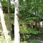 森の中のレストラン こどう - 