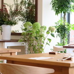 Moliere Cafe 降っても晴れても （モリエールカフェ） - さっぽろ