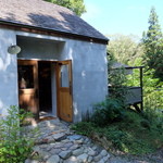 アンドシングス ハチガハナ - 