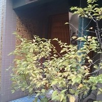 みかわ 是山居 - 