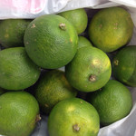 讃岐うどん河野 - スダチ戴いちゃいました♪　2015-10-05-10:10