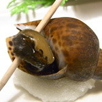 きくの商店 - バイ貝☆♪