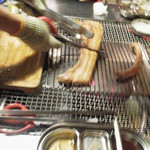 Noxen Drumtong - かなりの肉厚