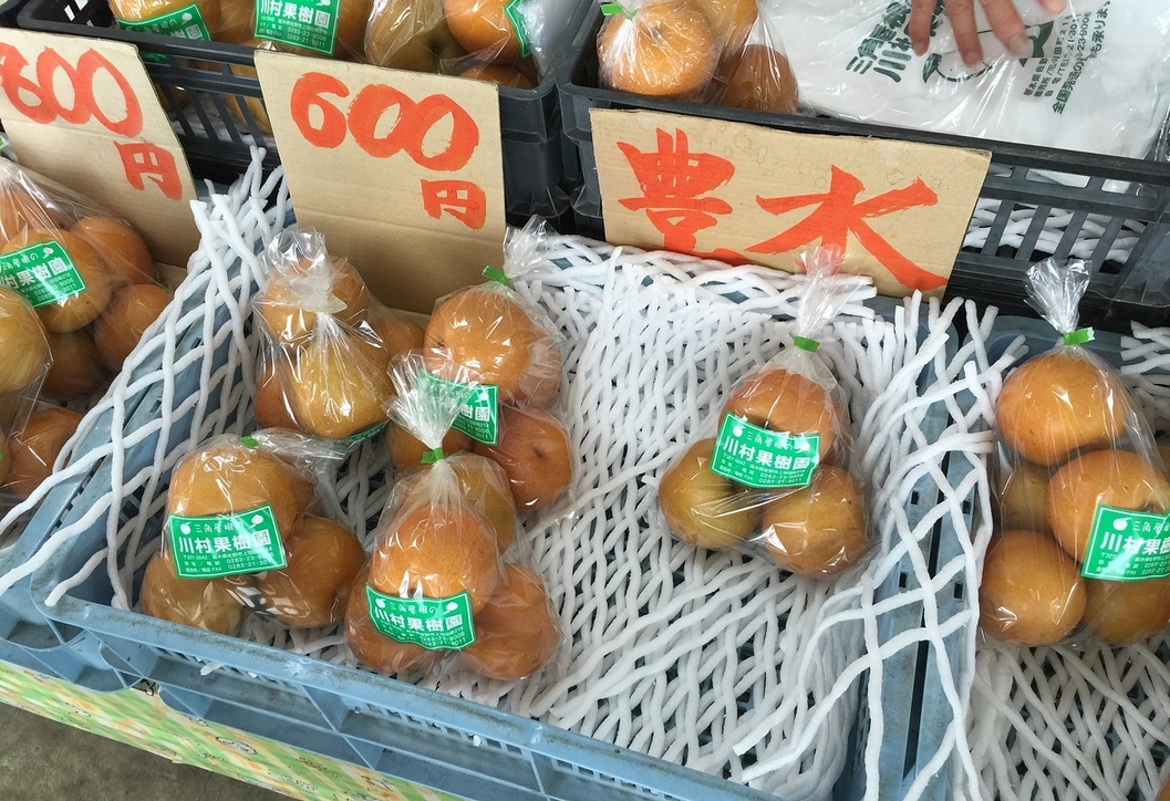 川村果樹園直売所 name=