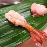Sushiya No Noyachi - ボタン海老
      