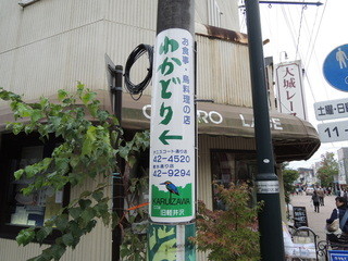 わかどり - 旧軽銀座通りにある電柱看板