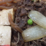 浅草今半 - 