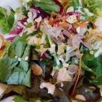 Bar Espanol LA BODEGA 大阪店 - サラダ