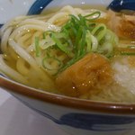 うまげな - 鬼おろし紀州梅うどん