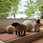 ラムズイヤー - 可愛らしい羊のディスプレイ