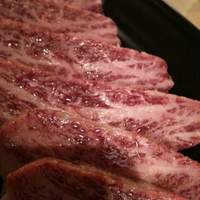 赤身焼肉 かるびあーの 新橋店 - 