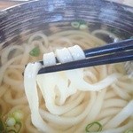 Goemon Udon - 麺はやや細めの角麺