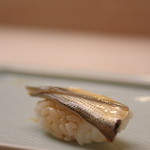 寛八 - 小鰭（こはだ）