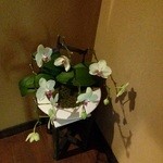 蕎麦 阿き津 - お花。