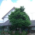 中華料理　東苑 - ぜんぜん中華屋っぽくない。