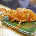 初音鮨 - 茹で上げた伊勢海老