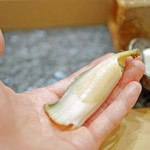 初音鮨 - 房総産アワビの握り