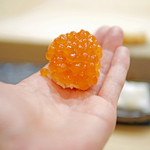 初音鮨 - 新いくらの握り