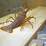 初音鮨 - 伊勢海老