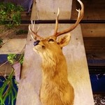 ボタニカルアイテムアンドカフェ シアン - 