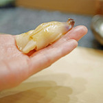 初音鮨 - ミル貝の握り